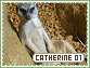 Catherine-elements1