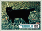 Tequila-elements0