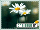 Catiebug-elements1