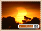 Rahenna-elements2