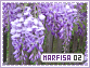 Marfisa-elements2