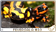 Whisperingsecrets12.png