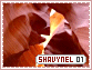 Shavynel-elements1