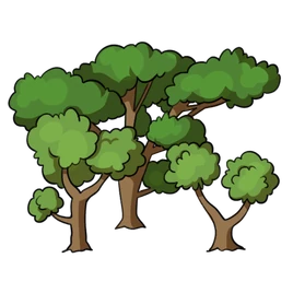 Common Trees