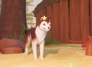 Cat.jpeg (145 KB) Tchia posessing a Cat