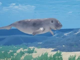 Dugong