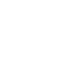 The Deaths of Reality Wiki | Fandom