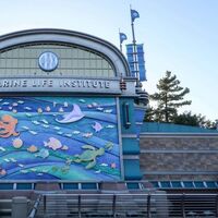 ニモ フレンズシーライダー 東京ディズニーシー Wiki Fandom ニモ フレンズシーライダー 東京ディズニーシー Wiki Fandom