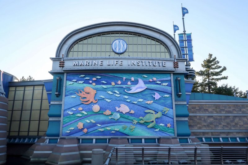 ニモ フレンズシーライダー 東京ディズニーシー Wiki Fandom ニモ フレンズシーライダー 東京ディズニーシー Wiki Fandom