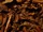 450px-Houjicha-2.jpg