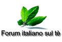 Forum-italiano-sul-te-logo