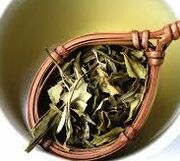 White tea leaves.jpeg