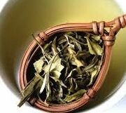 White tea leaves