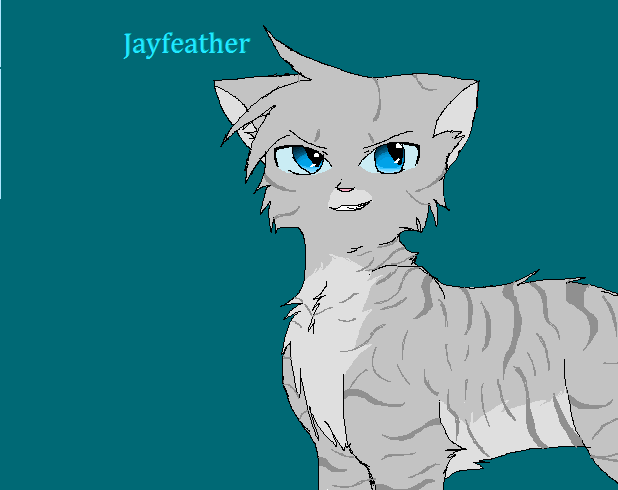 Jayfeather lover 