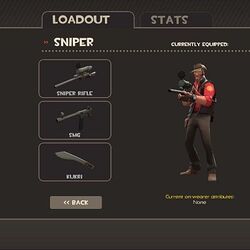 Cosmetic items - Official TF2 Wiki