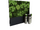 Clover Camo'd