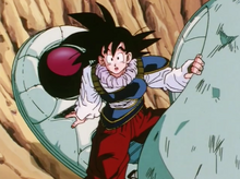 Goku returns to Earth from space