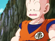 Krillin on the sidelines