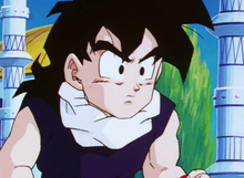 Gohan while waiting outside Hyberbolic Time Chamber