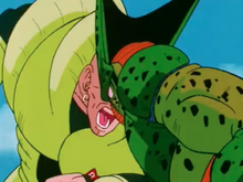 Cell and 16 butt heads