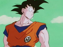 Goku after beating Burter