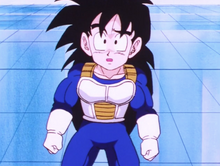 Gohan in Hyperbolic Time Chamber