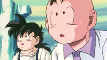 Krillin and Gohan in the arctic