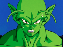 Piccolo rejuvinated