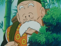 Grandpa Gohan