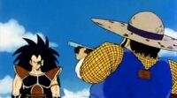 Raditz and Farmer