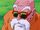 Master Roshi