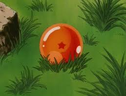 Dragon Balls (objet), Wiki Dragon Ball