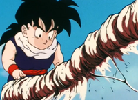 Gohan investigating