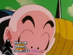 Krillin Owned Count 22