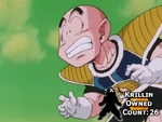 Krillin Owned Count 26
