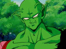 Piccolo back on Earth