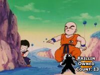 Krillin Owned Count 14