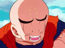 Krillin right before being punched