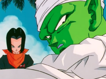 Piccolo volunteers himself