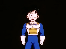 Gohan reflects