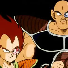 Nappa Team Four Star Wiki Fandom Download dbz abridged nappa ringtone which was uploaded by no name. nappa team four star wiki fandom