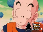 Krillin Owned Count 11