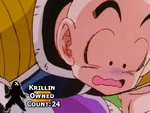 Krillin Owned Count 24