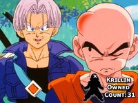 Krillin Owned Count 31