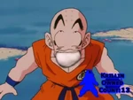 Krillin Owned Count 13