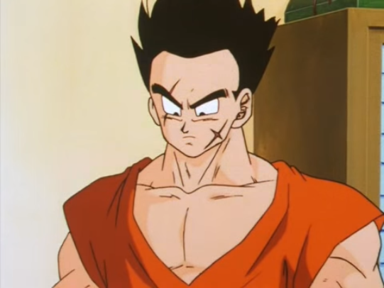 future yamcha