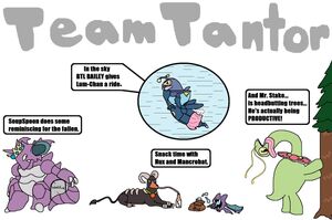 Team TANTOR Pokemon Soul Silver NUZLOCKE TFS Team Four Star