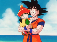 Gohan and Goku