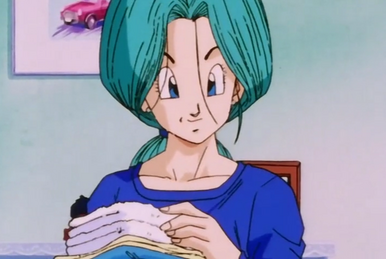 https://static.wikia.nocookie.net/teamfourstar/images/d/dc/FutureBulma.png/revision/latest/smart/width/386/height/259?cb=20151229164251