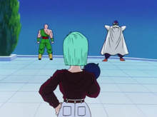 Tien, Bulma and Piccolo on the lookout